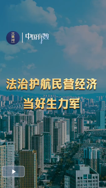 中国有数｜法治护航民营经济当好生力军