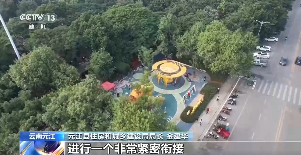 蓝花楹开、行道树挂果、推窗见绿云南城市绿化氛围感拉满(图11)