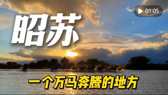 魅力山乡｜昭苏，一个万马奔腾的地方