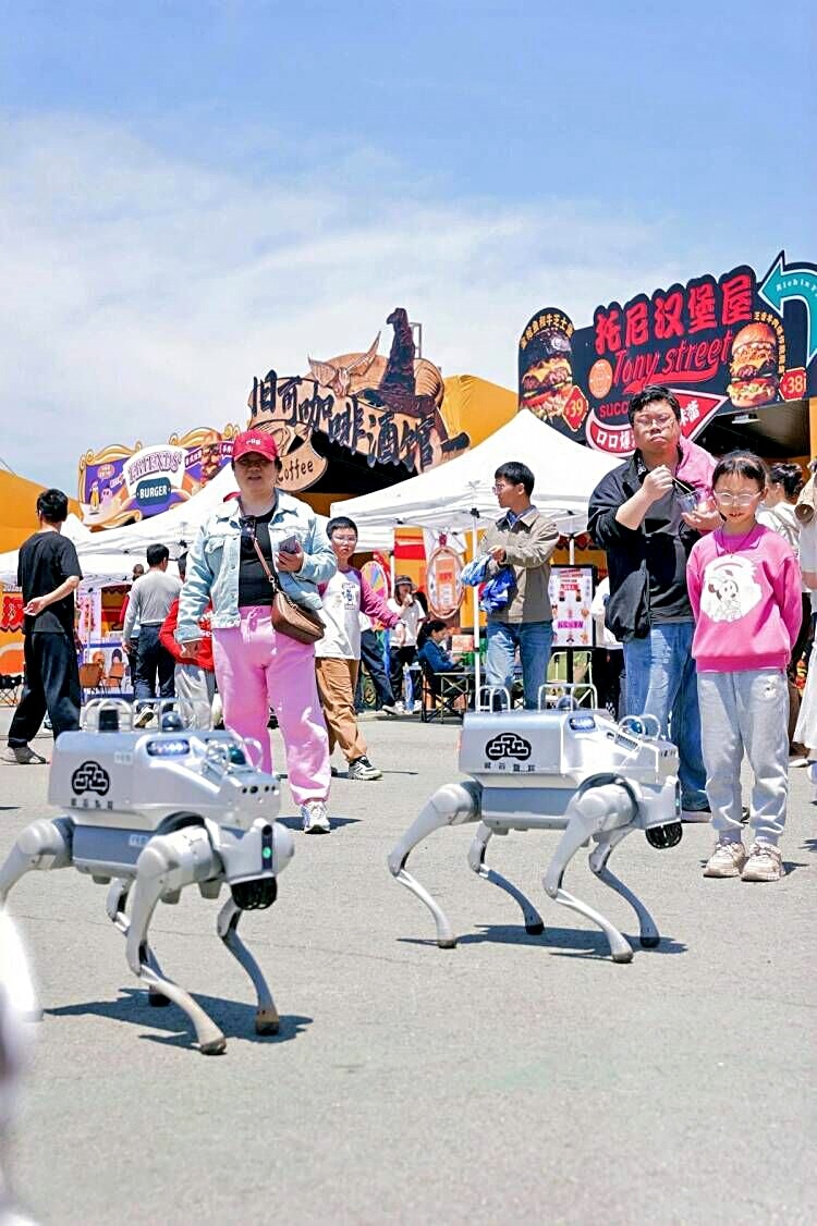  圆满完成青藏高原“放牛”任务 光谷“橙小猩”当起智能安保员