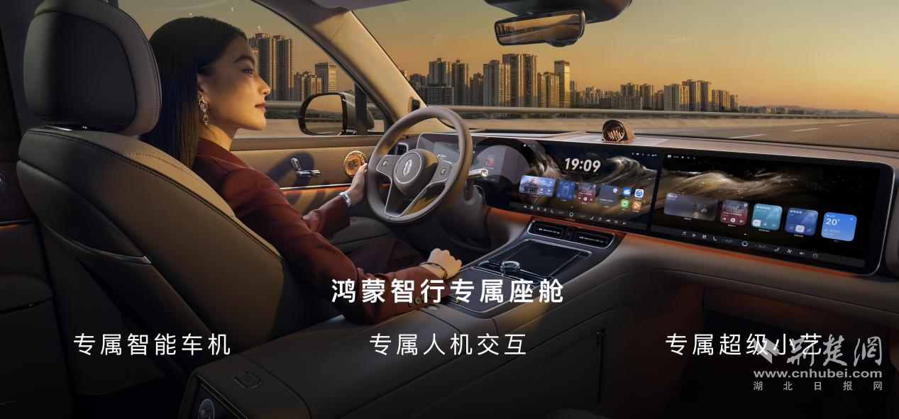 图片13.png.png