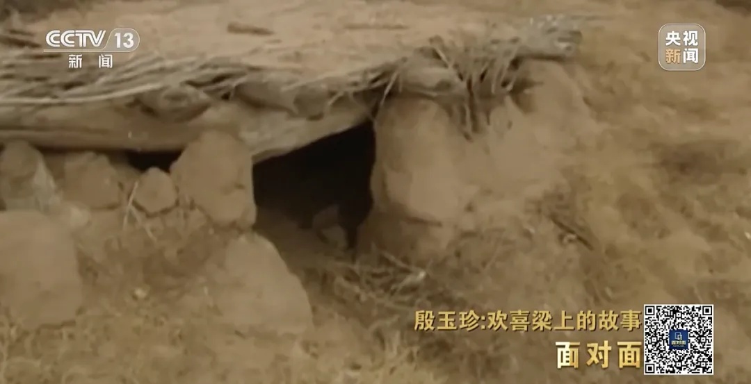 全网急寻赛·考斯基先生！“你的5000美元，已长成5万多棵树！”