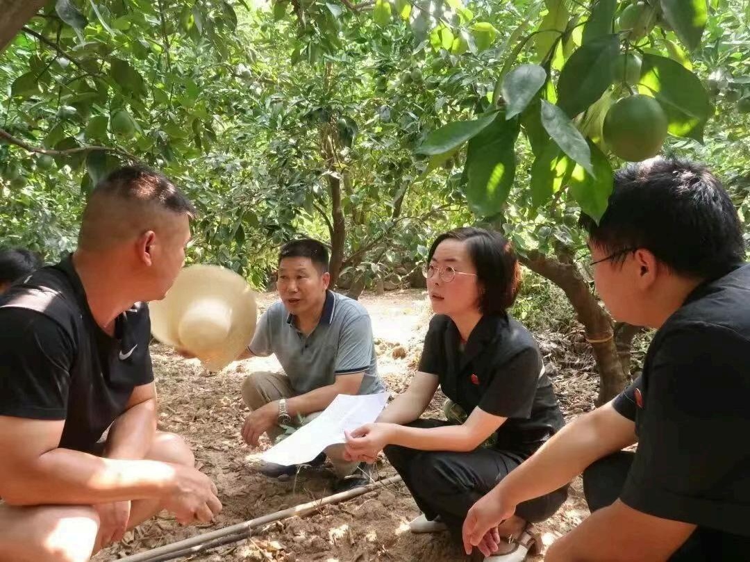 宜昌有个橙子法庭！有关橙子的纠纷案件都能办