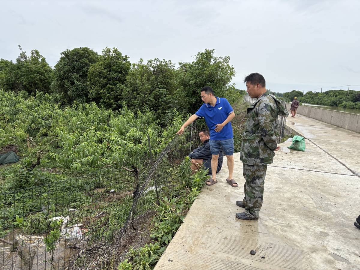 迎战强降雨 湖北多地前置布防