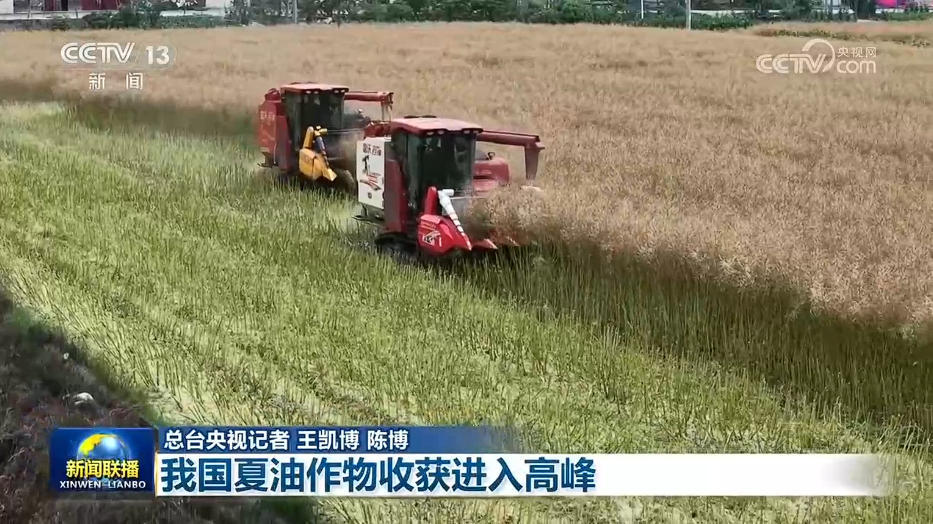  【在希望的田野上】我国夏油作物收获进入高峰