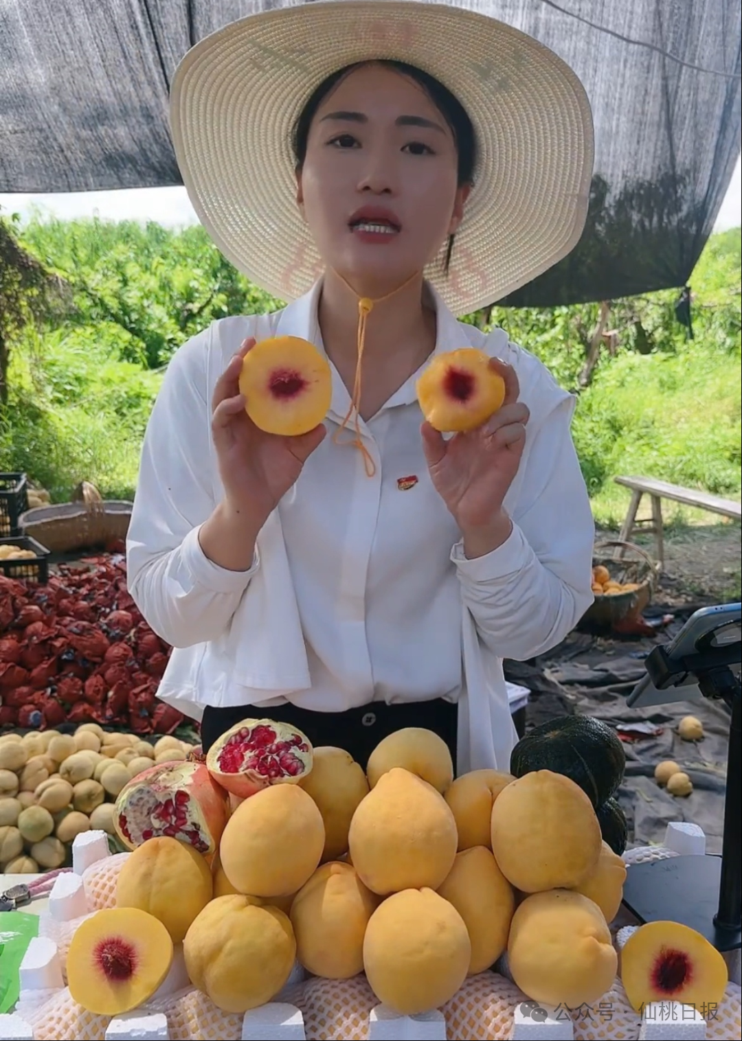 让仙桃“土货”卖全国,她们出手了