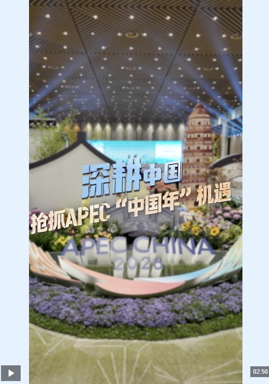 深耕中国丨抢抓APEC“中国年”机遇