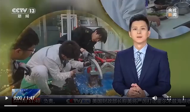 视频丨一课难求！烹饪、汽修、木工……这些堪称高校劳动课“顶流”