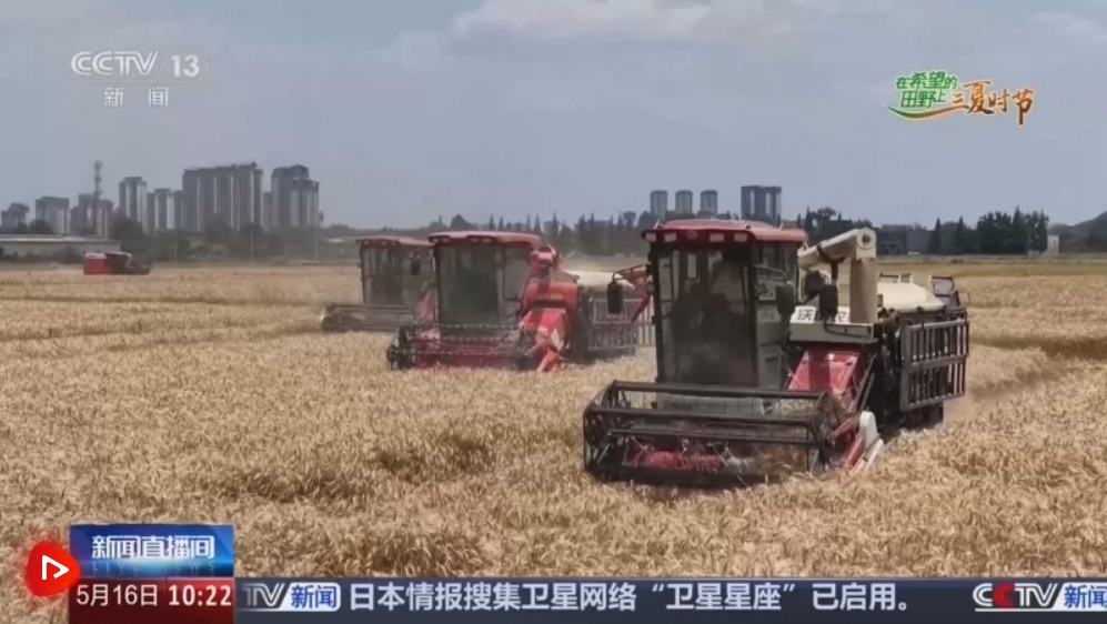 “政策+科技”双管齐下 “稻麦同框”绘就智慧农业新图景