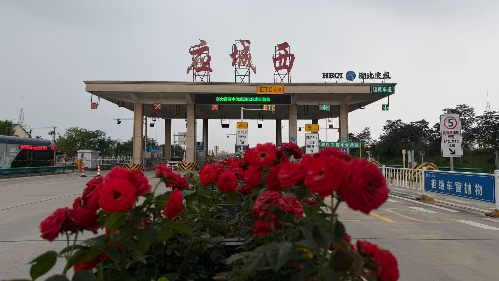 繁花映窗口 馨香漫旅途——应城西收费站以“花园式”站所建设提升服务温度