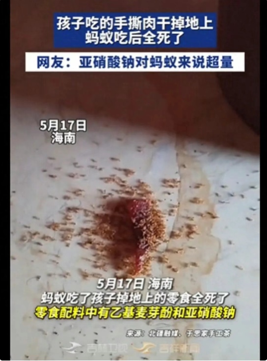  孩子零食碎渣掉地上，蚂蚁吃完集体死亡，网友热议