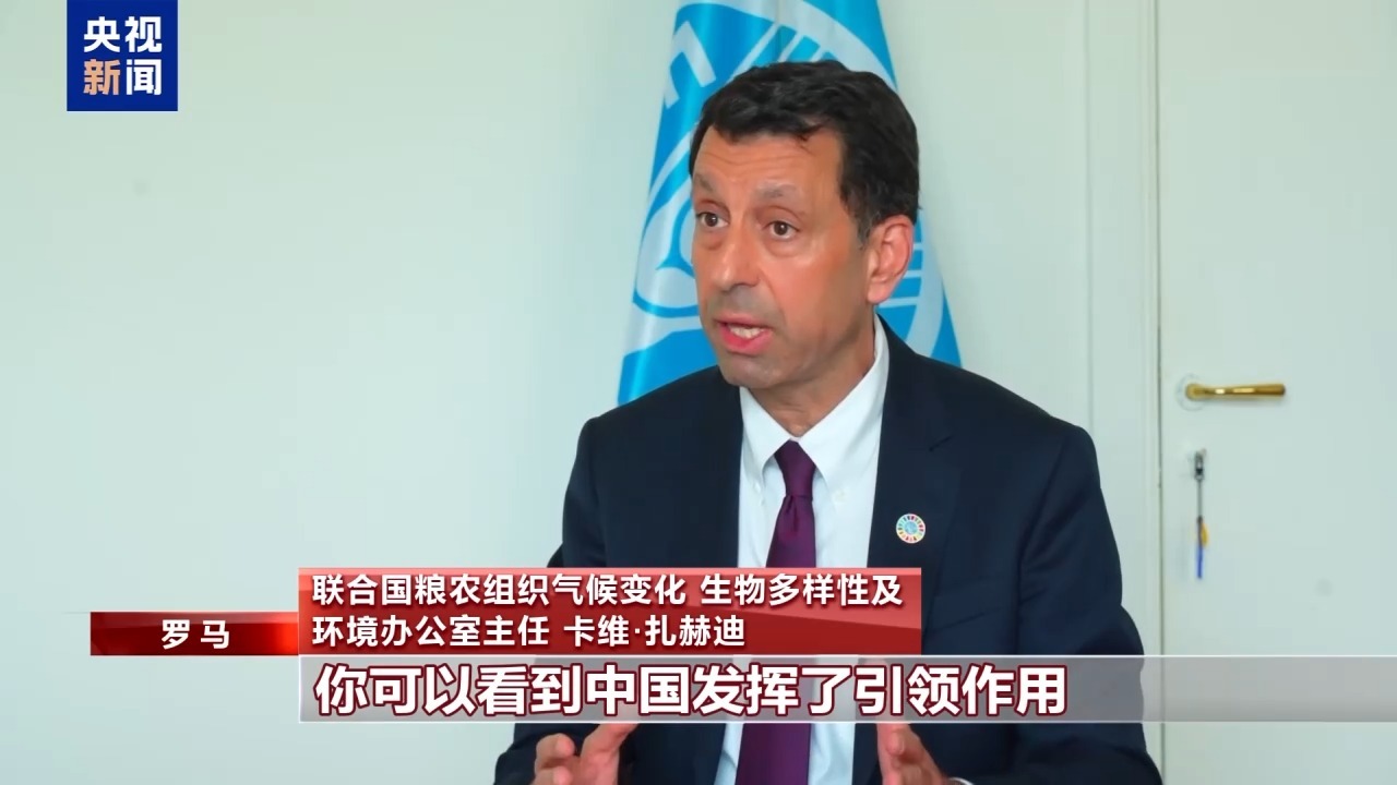 联合国粮农组织官员呼吁各国应对极端高温 肯定中国引领作用