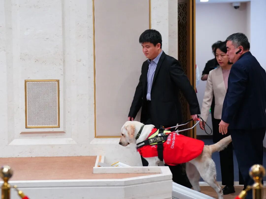 导盲犬，首次亮相国新办新闻发布厅！