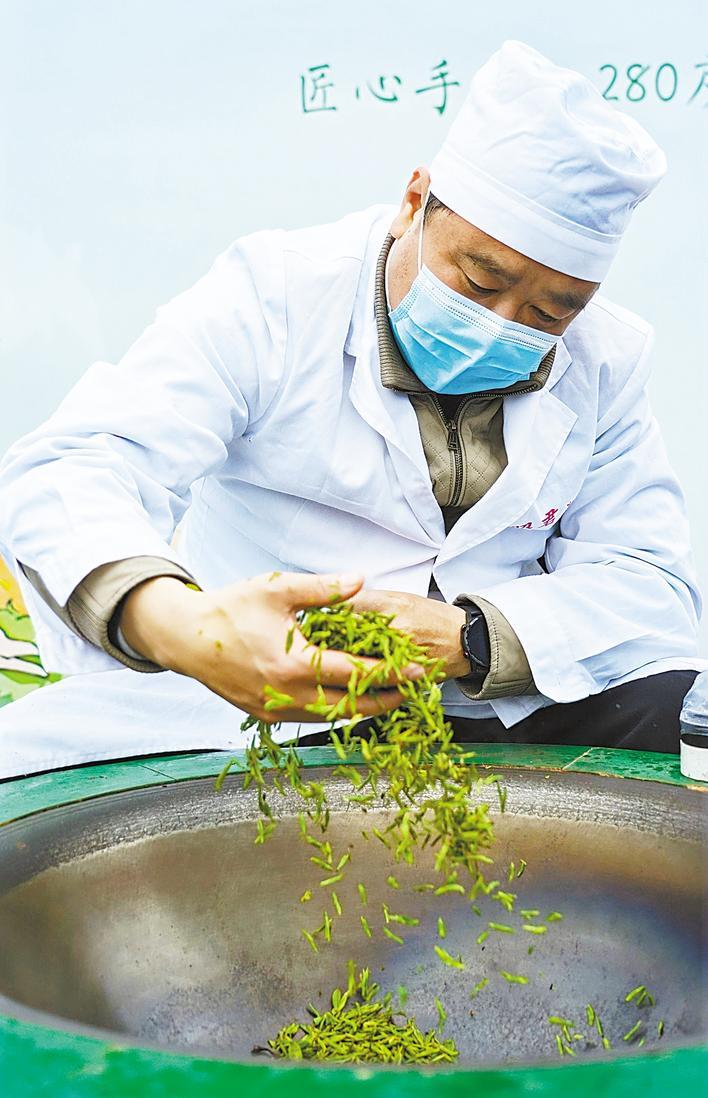 口感鲜爽甘甜 兴山白茶何以独树一帜