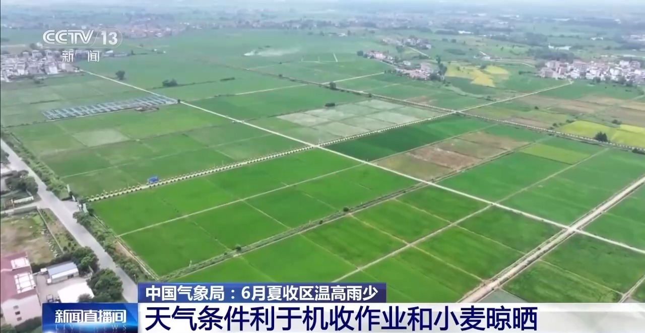 6月夏收区温高雨少 利于机收作业和小麦晾晒