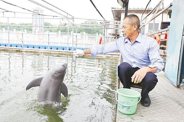 18年守护“长江的微笑” “江豚奶爸”的苦乐悲欢