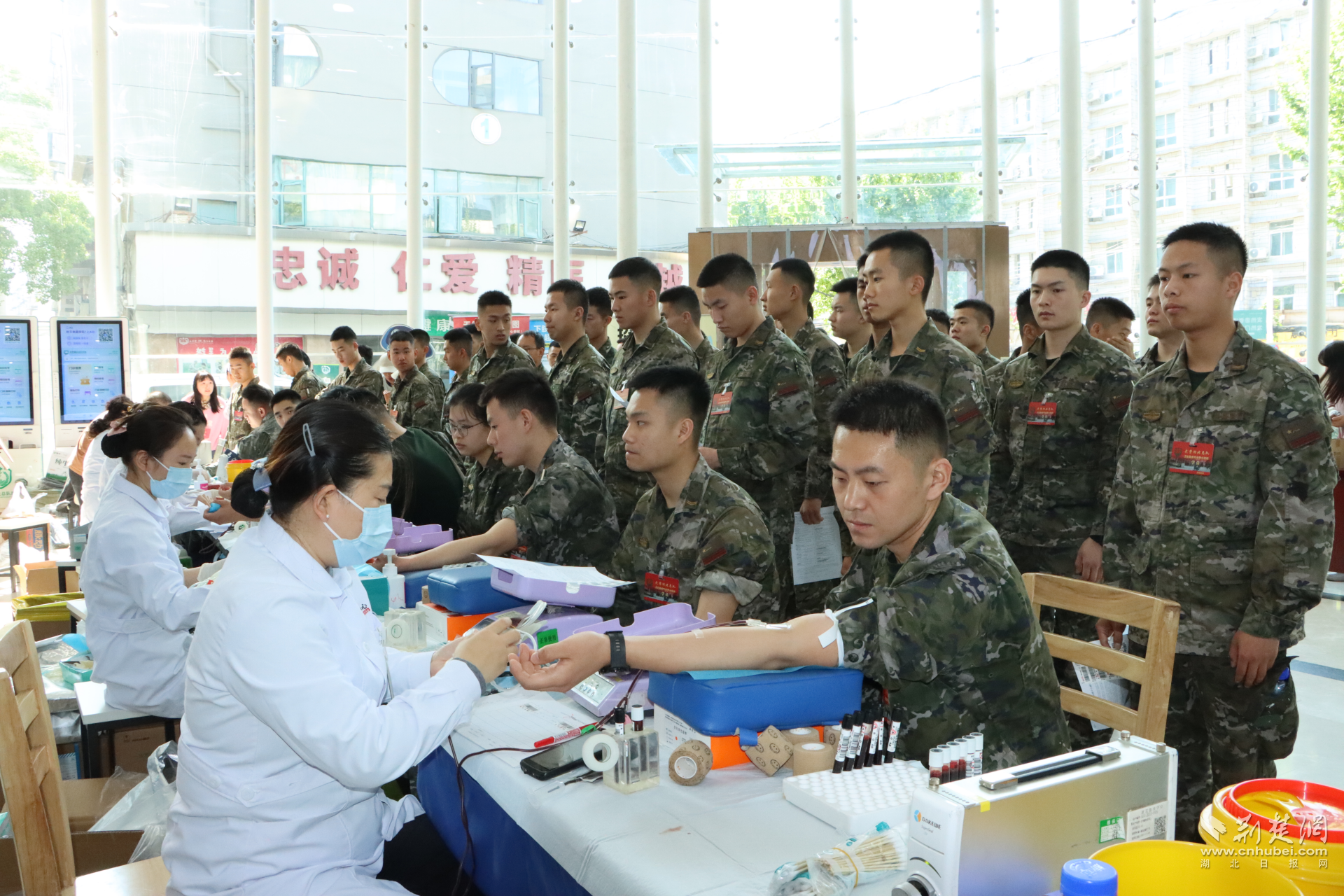  热血铸军魂 丹心护生命——武警湖北省总队医院组织无偿献血活动