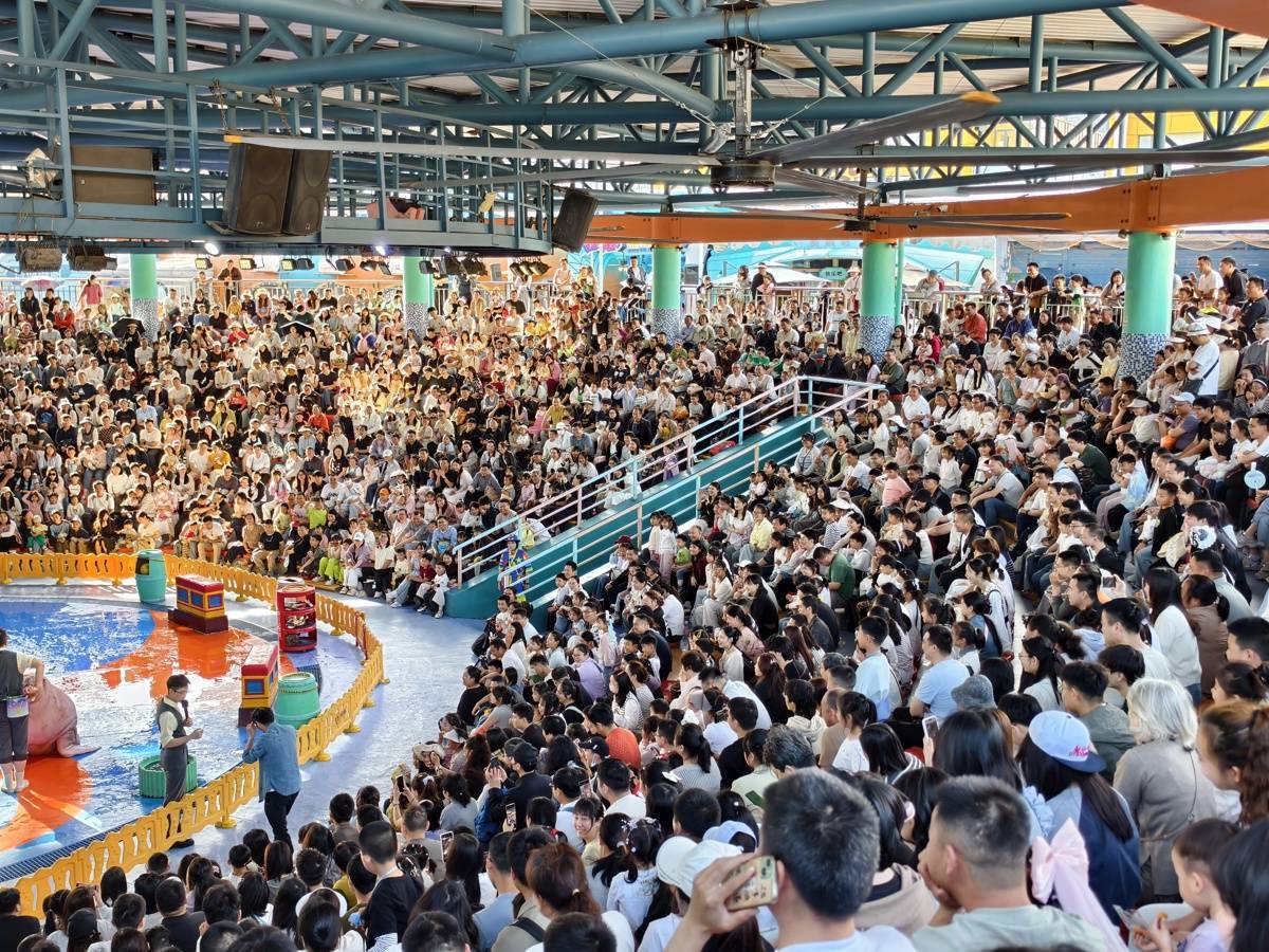 武汉极地海洋度假区五一假期客流突破15万人次