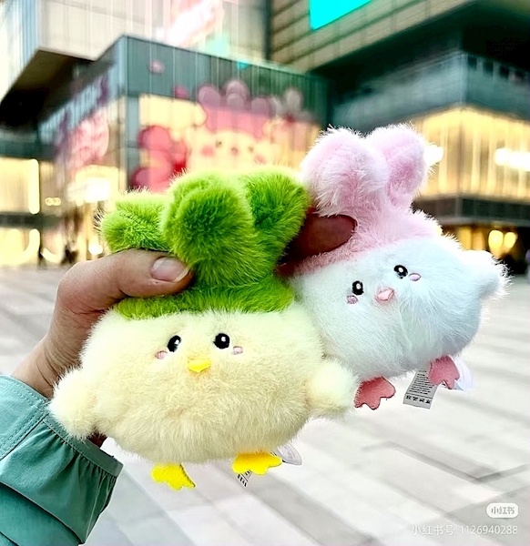 长期被侵权的现象不能“算了” 武汉“蒜鸟”起诉多地盗版“蒜鸟”