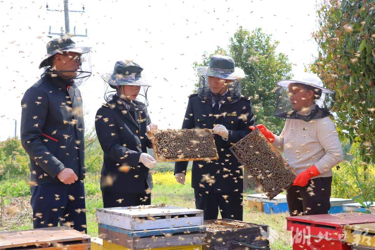 荆楚向世界递出一张“甜蜜名片”    湖北蜂产品出口连续十余年位居全国前列