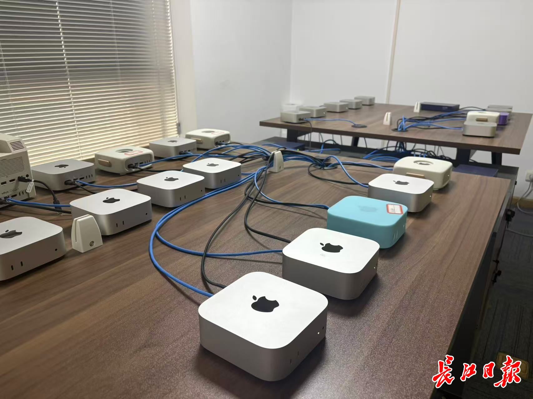  这家公司专门帮你“养虾”，未来还将代你上班