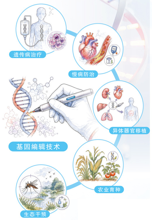 应用场景日益丰富，基因编辑迈向精准医疗新阶段