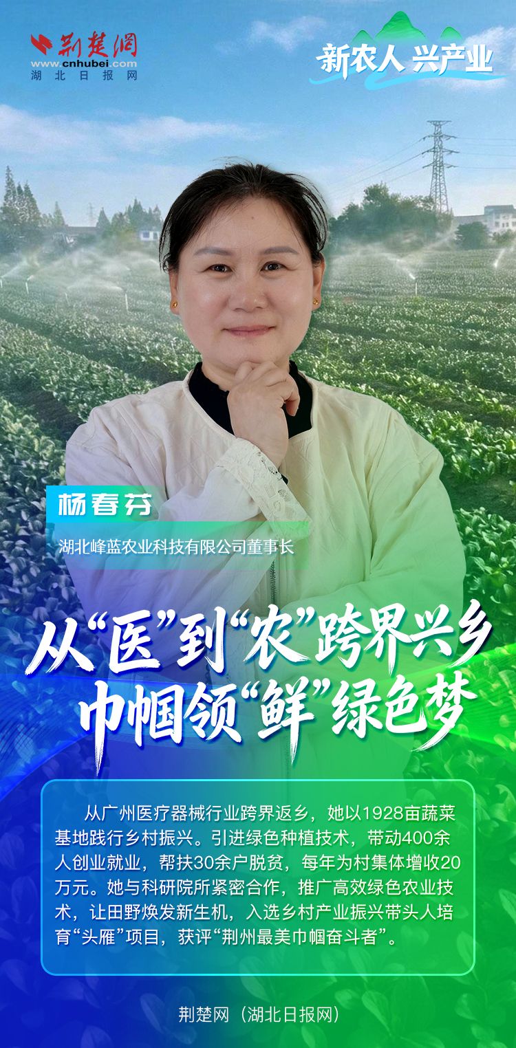 新农人 兴产业丨杨春芬：从“医”到“农”跨界兴乡，巾帼领“鲜”绿色梦