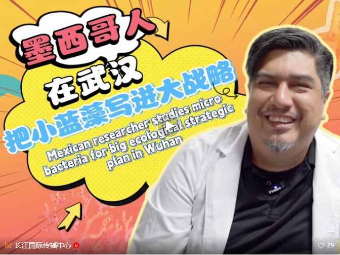 墨西哥人在武汉，把小蓝藻写进大战略