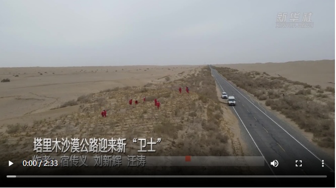 美丽中国行丨塔里木沙漠公路迎来新“卫士”