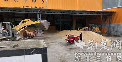 钟祥：雨前“抢”粮争分夺秒 多措并举力保夏粮颗粒归仓
