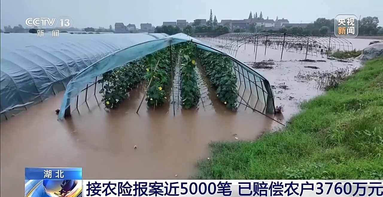 降雨致湖北、海南多地受灾 农业保险保障农户利益