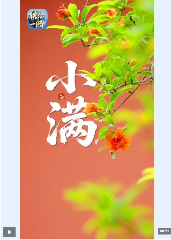文化中国行·联播一瞬丨小满未满 自在安然