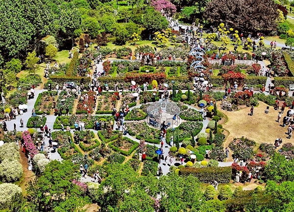  宜昌橙、孝感米酒、“神农四宝”…… 12座城市来武汉都市圈花展“亮宝”打擂