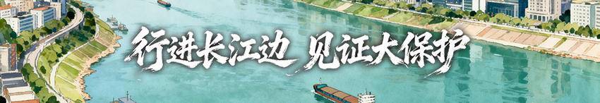 18年守护“长江的微笑” “江豚奶爸”丁泽良的苦乐悲欢