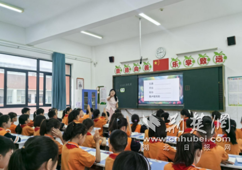 钟祥市龙山实验学校：专家引领促成长 教研赋能启新程