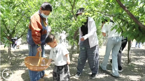 新华视点丨城乡文旅创新业态 体验经济激发消费新活力