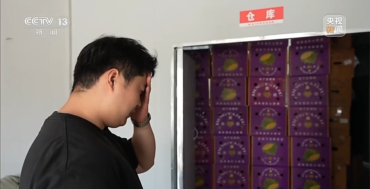 新闻周刊丨驱车千里维权！一文梳理190元榴莲仅退款事件