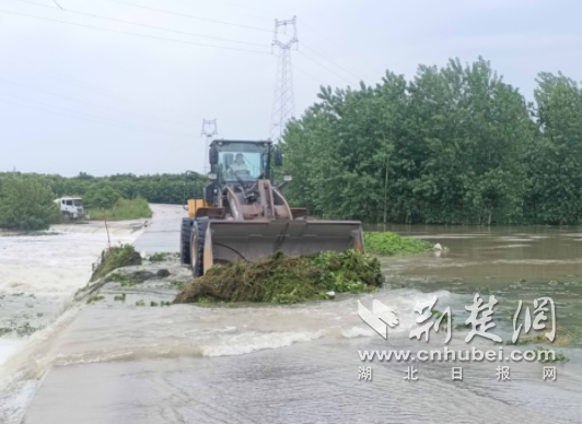 京山市永兴街道：防汛备汛保民生