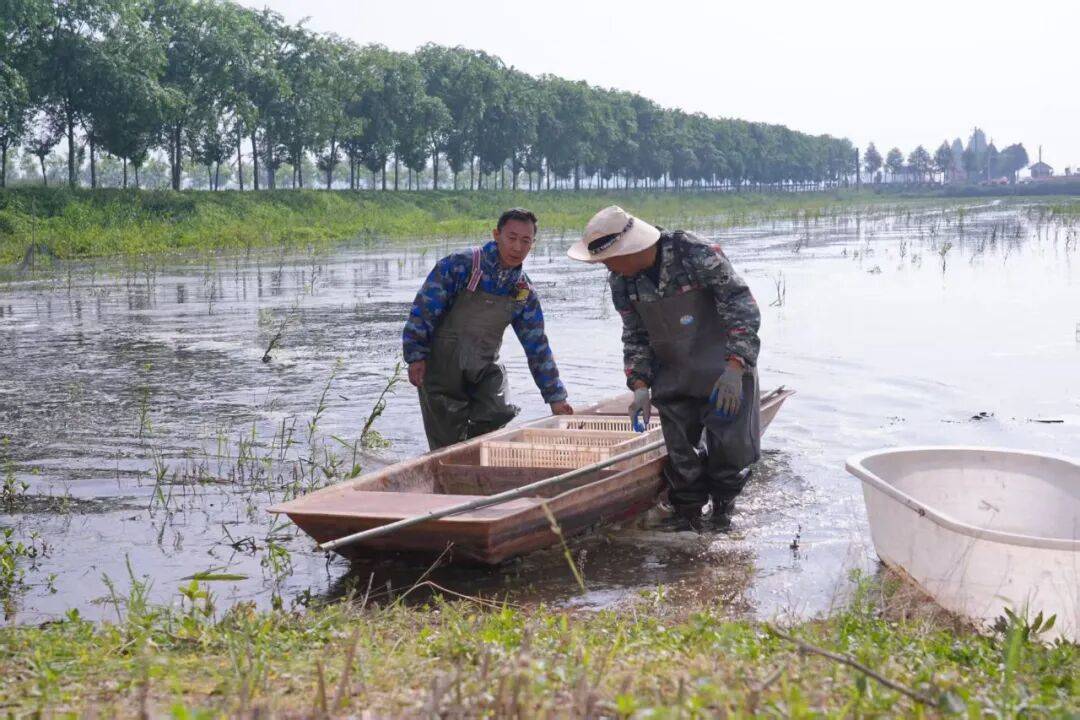 垂涎欲滴！公安美味正大量上市