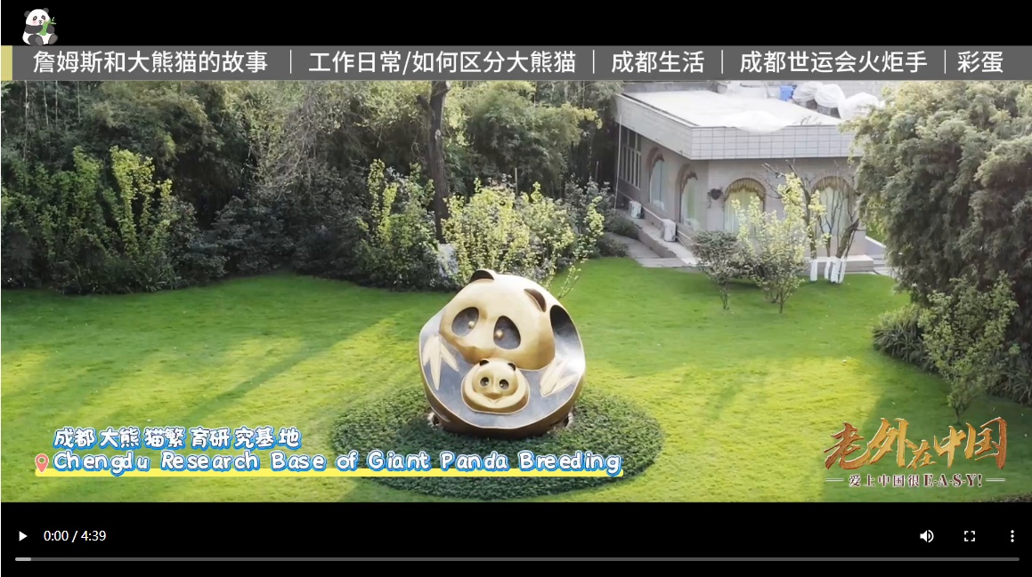 【老外在中国】在成都专业“撸”熊猫的美国人