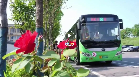 仙桃校园定制公交“开”进乡镇