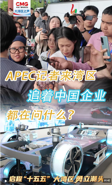 勇立潮头大湾区丨APEC记者来湾区 追着中国企业问什么?
