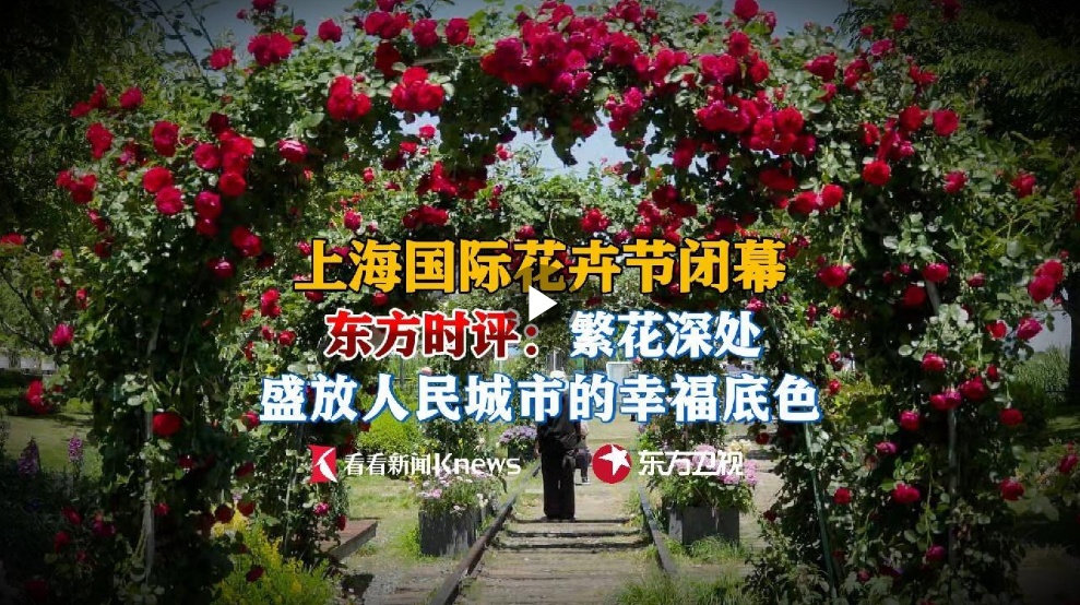 东方时评：繁花深处 盛放人民城市的幸福底色
