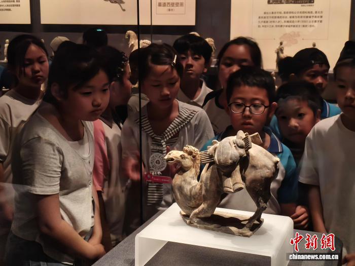（文化中国行）为一个馆赴一座城，河北小众博物馆频“出圈”