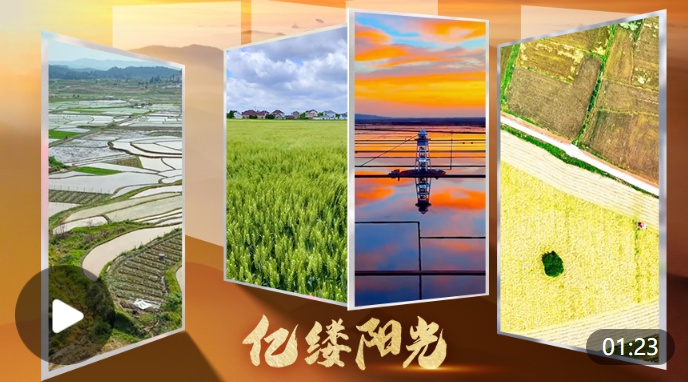 亿缕阳光·乡见｜藏在农田里的浪漫