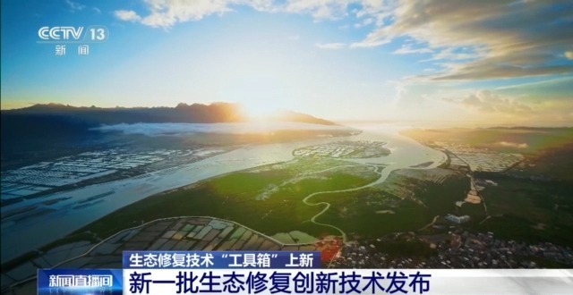  树苗会“找水” AI听“鸟鸣” 生态修复技术“工具箱”上新