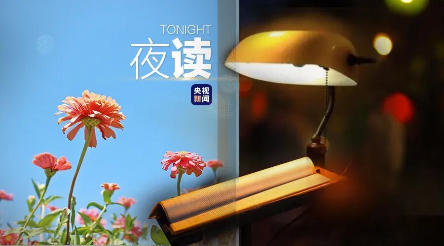 这20句哲学箴言，足以解开人生大半困扰