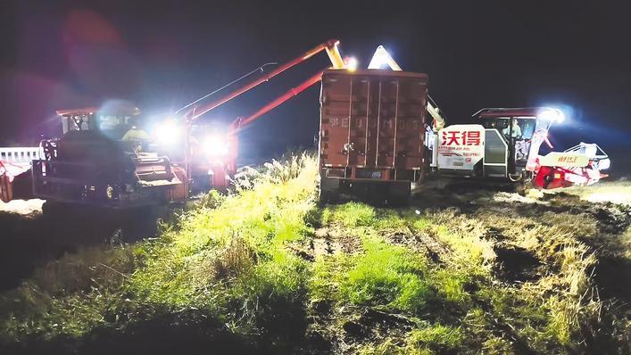湖北打响夏粮夏油保卫战 与暴雨赛跑，三昼夜抢收1185万亩