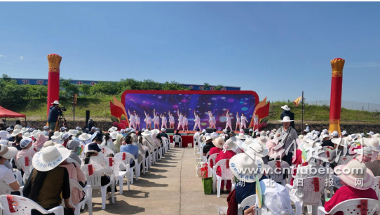 遇见“梅”好！钟祥市长滩镇第九届杨梅采摘周火热启幕