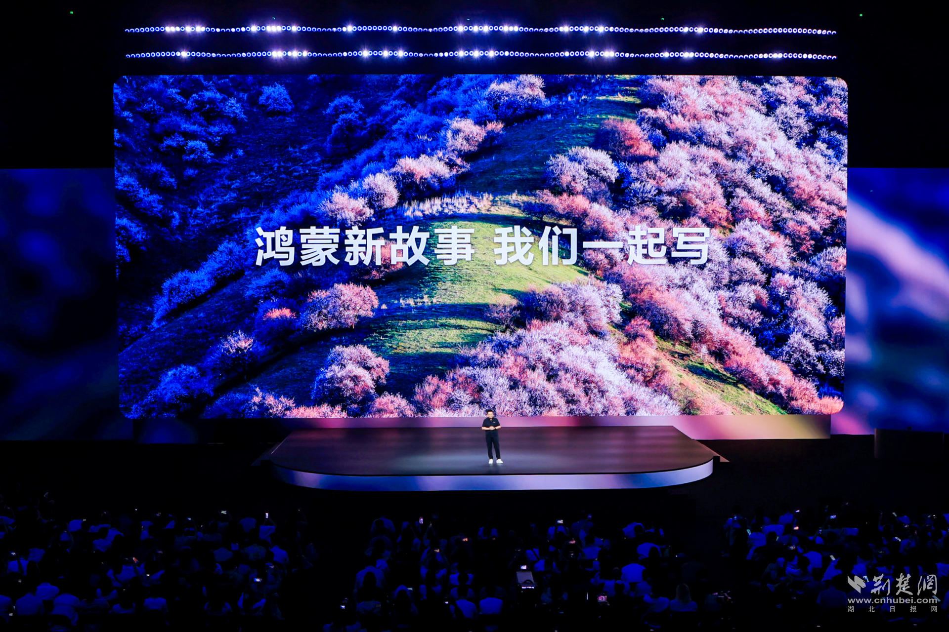 图片3.png.png